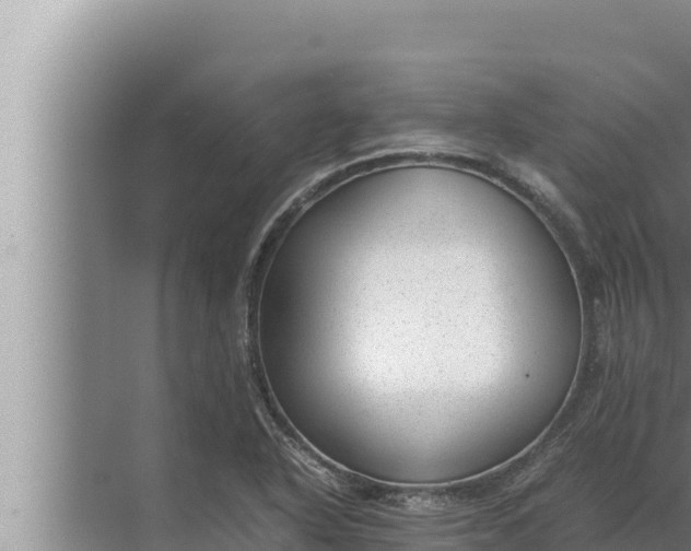 X0000072501318200607290055