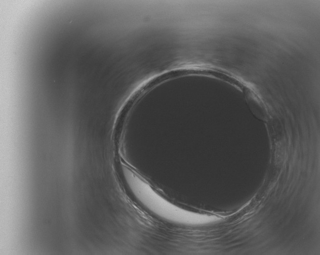 X0000072501319200607290055