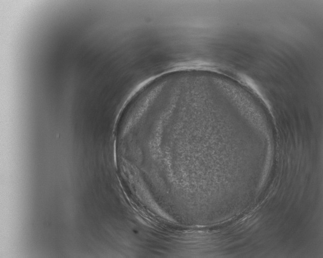 X0000072501320200607290055