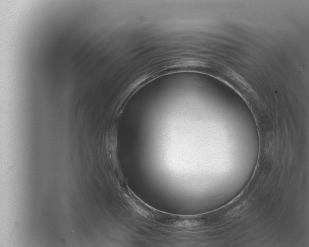 X0000072501321200607290055