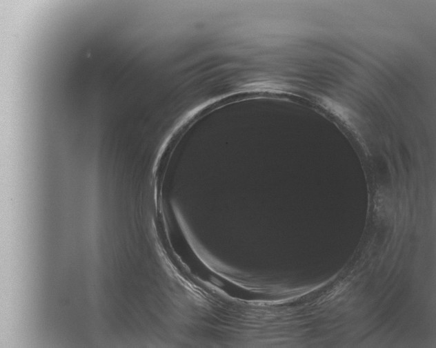 X0000072501323200607290055