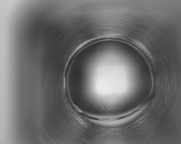 X0000072501324200607290055