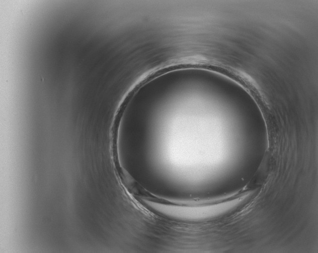 X0000072501326200607290055