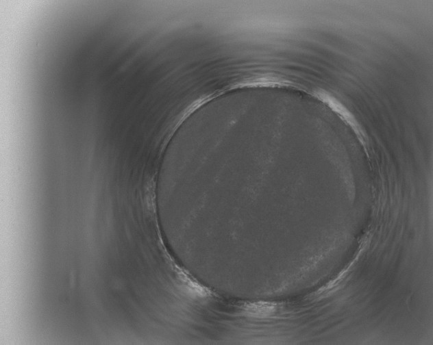 X0000072501329200607290055