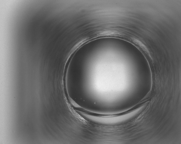 X0000072501330200607290055