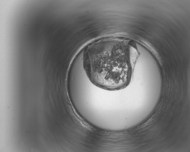 X0000072501332200607290055