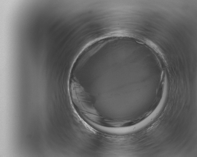 X0000072501334200607290056