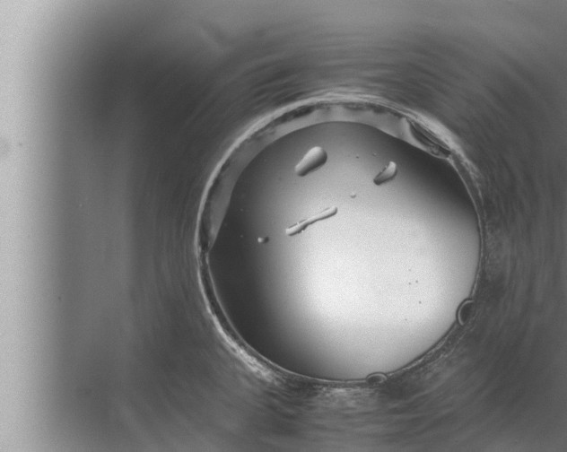 X0000072501335200607290056