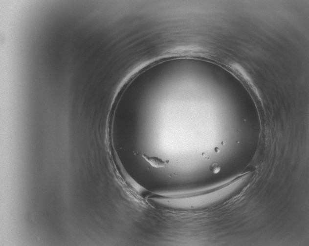 X0000072501336200607290056