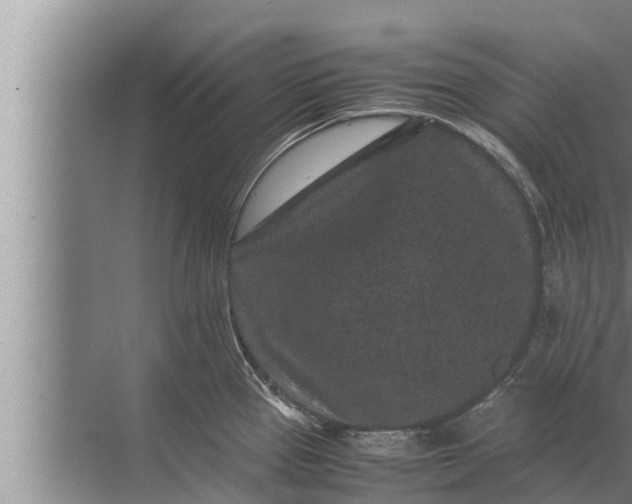 X0000072501337200607290056