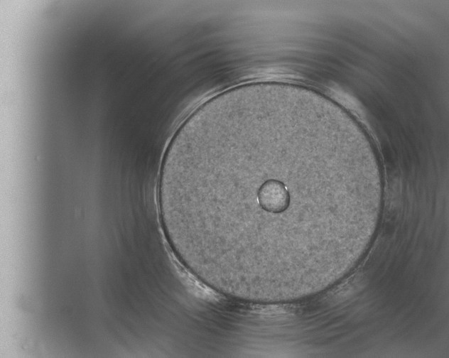 X0000072501338200607290056