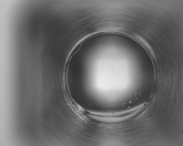 X0000072501340200607290056