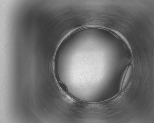 X0000072501341200607290056