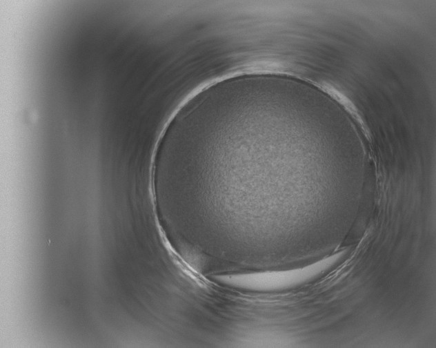 X0000072501342200607290056