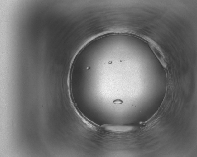 X0000072501343200607290056