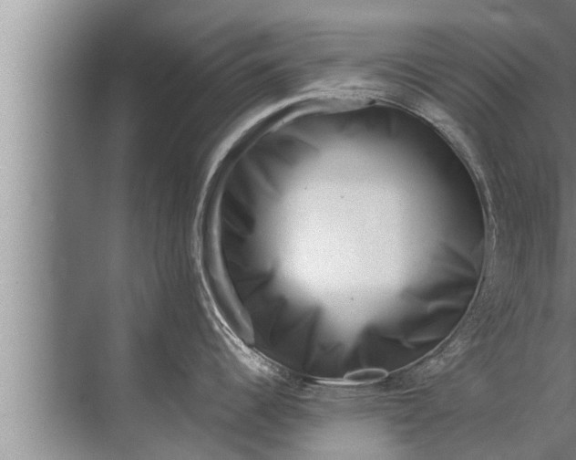 X0000072501344200607290056