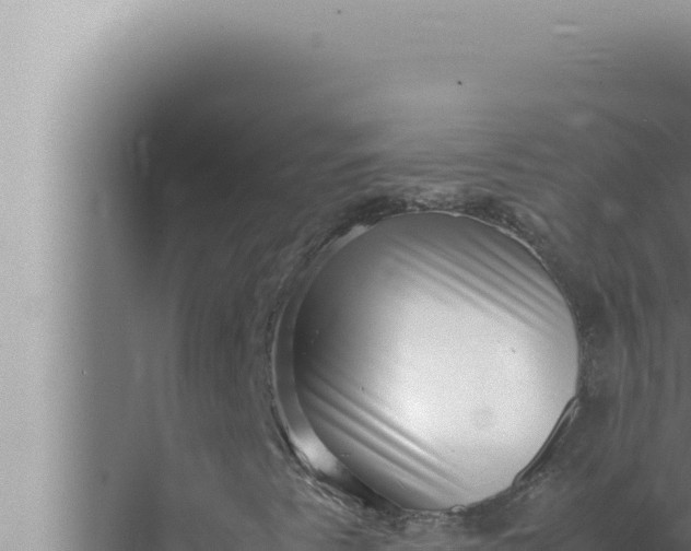 X0000072501345200607290055