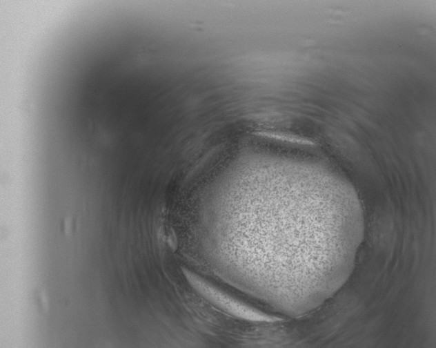 X0000072501346200607290055