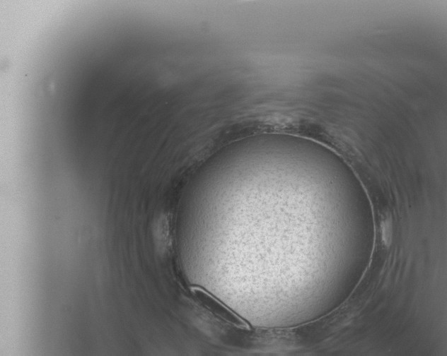 X0000072501347200607290055