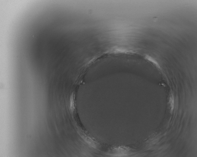 X0000072501348200607290055