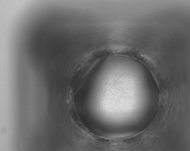 X0000072501349200607290055