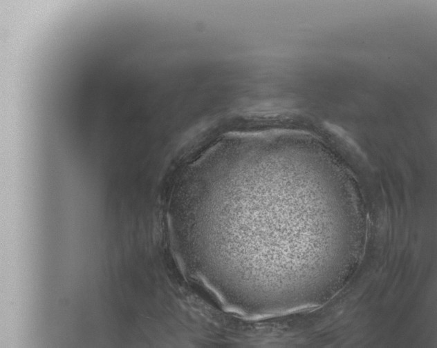 X0000072501350200607290055