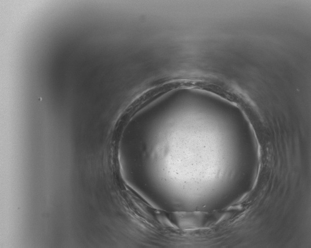 X0000072501352200607290055