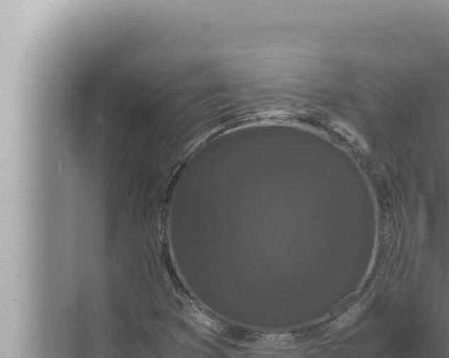 X0000072501353200607290055