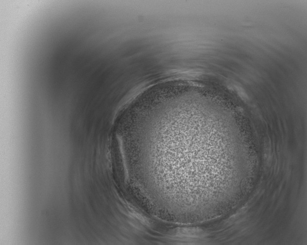 X0000072501354200607290055