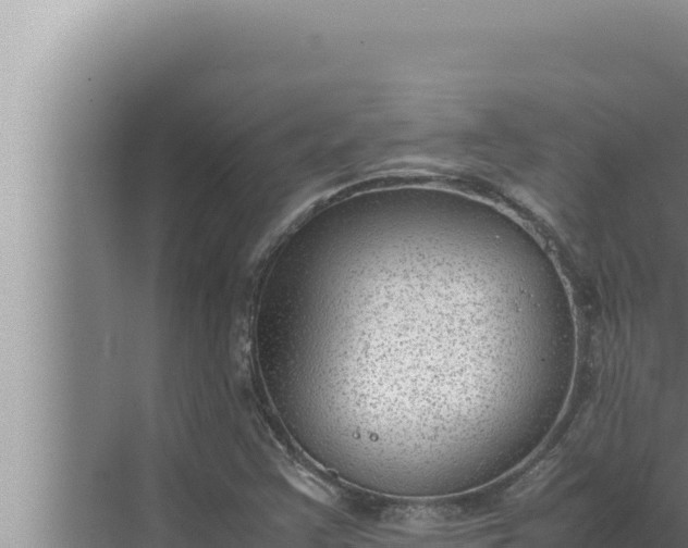 X0000072501355200607290055