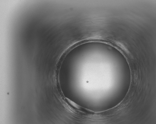 X0000072501356200607290055