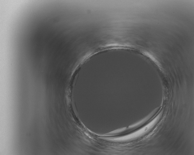 X0000072501357200607290055