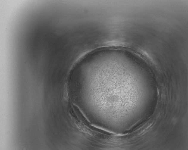 X0000072501358200607290055