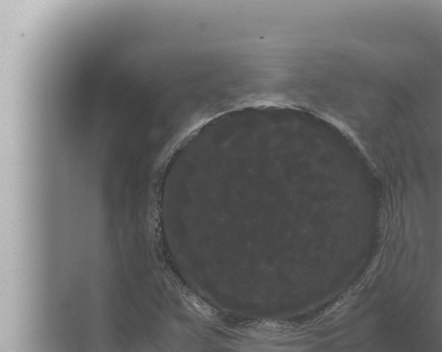 X0000072501359200607290055