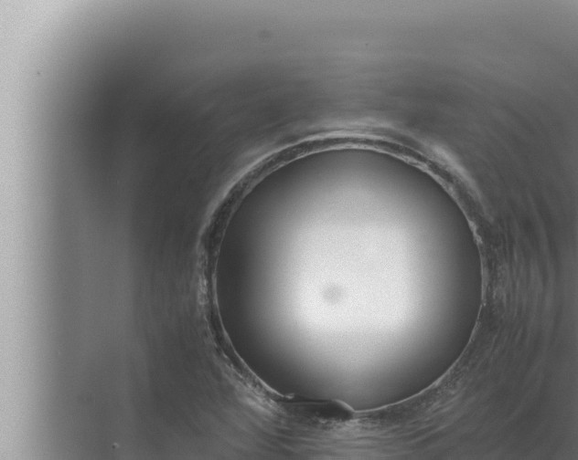 X0000072501360200607290055