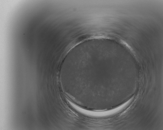 X0000072501361200607290055