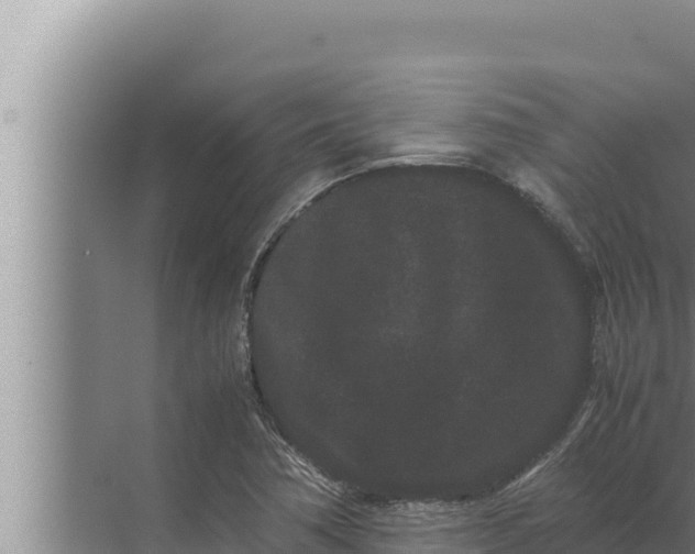 X0000072501362200607290055