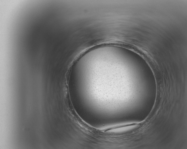 X0000072501363200607290055