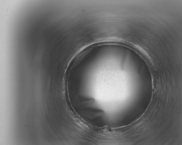 X0000072501364200607290055