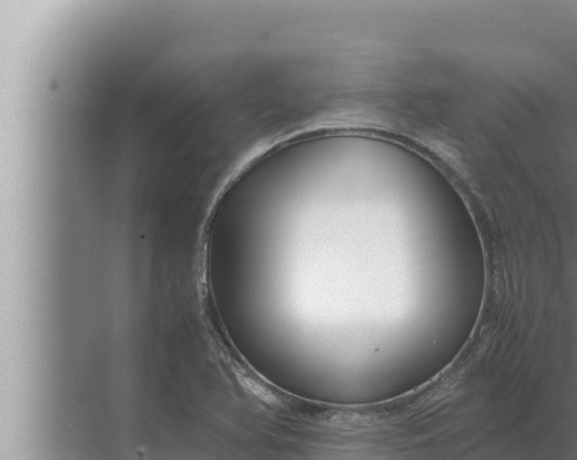 X0000072501366200607290055