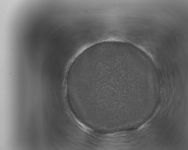 X0000072501367200607290055