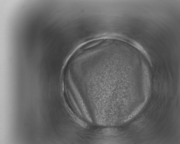 X0000072501368200607290054