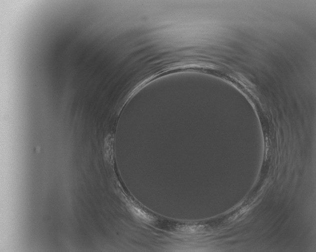 X0000072501369200607290054