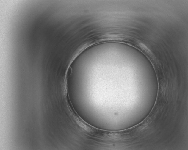 X0000072501370200607290054