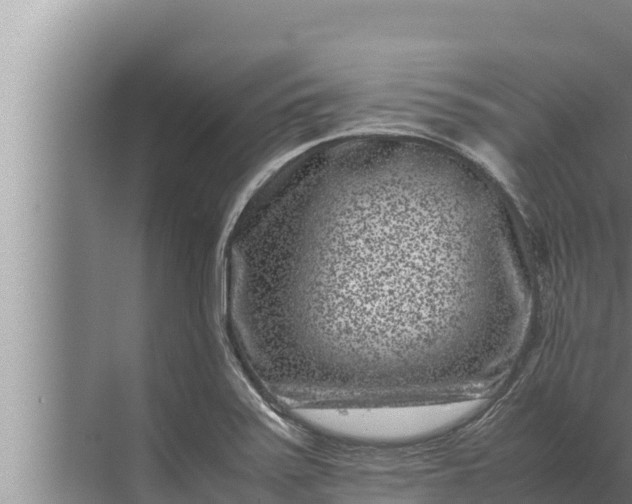 X0000072501371200607290054