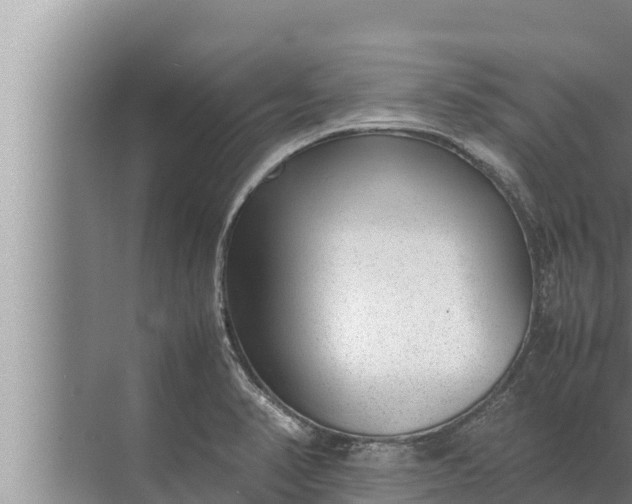 X0000072501374200607290054