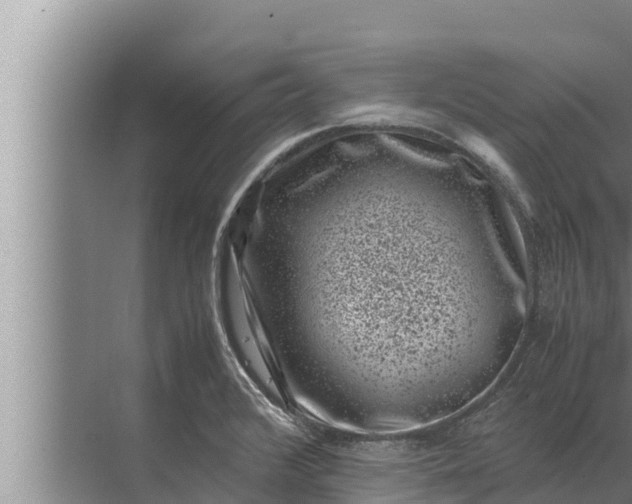 X0000072501376200607290054