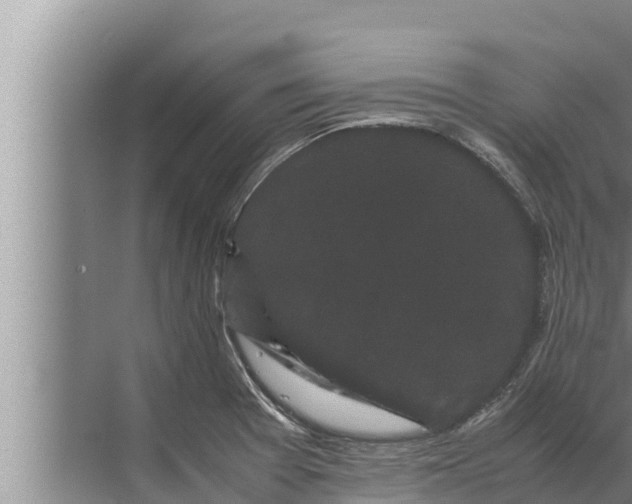 X0000072501377200607290054