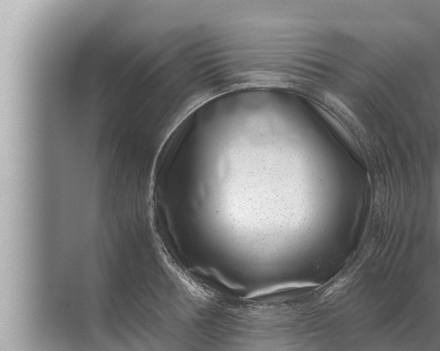 X0000072501378200607290054