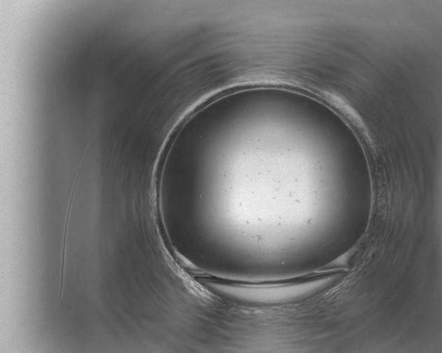 X0000072501380200607290054